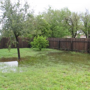 I always wanted waterfront property